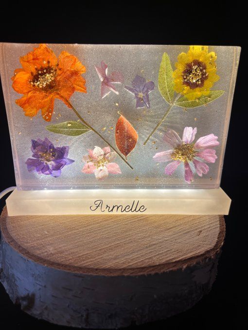 Veilleuse personnalisable