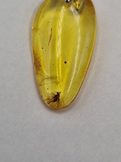 Pendentif en ambre avec insecte fossilisé