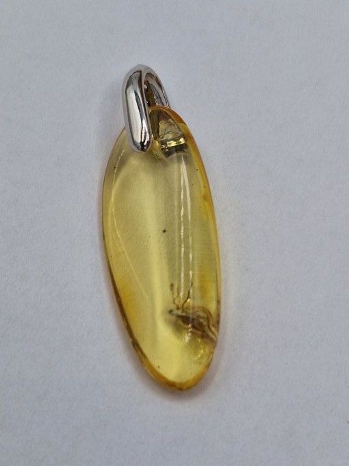 Pendentif en ambre avec insecte fossilisé